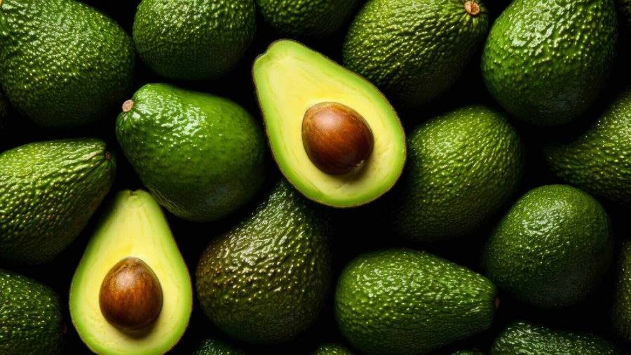 Fresh avocados