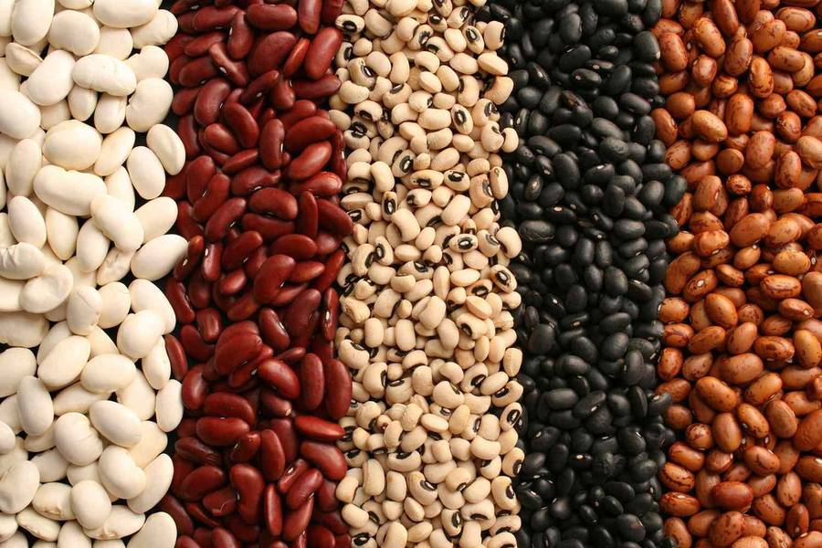 Assorted dried beans