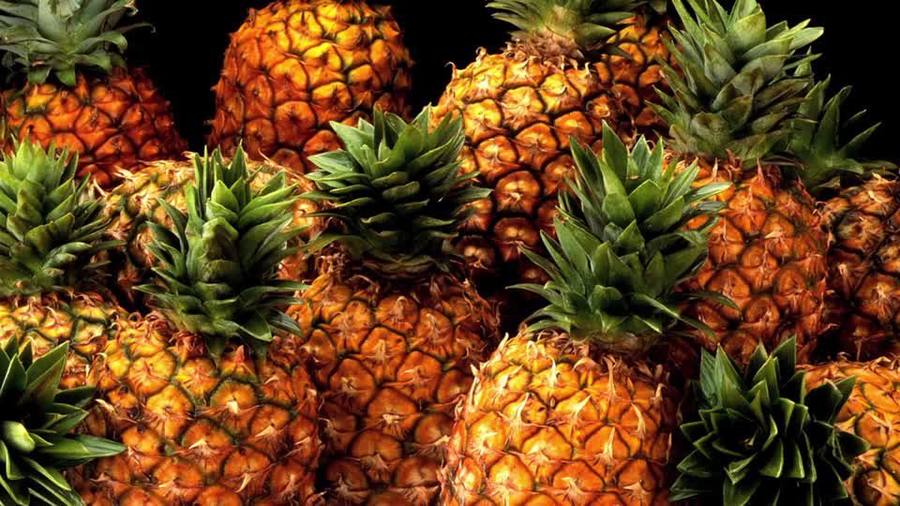 Fresh pineapples